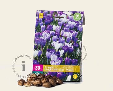 Crocus Mix Blauw-Wit