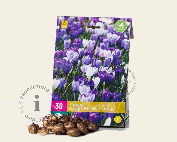 Crocus Mix Blauw-Wit