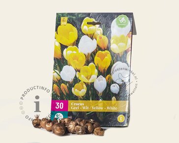 Crocus Mix Geel-Wit