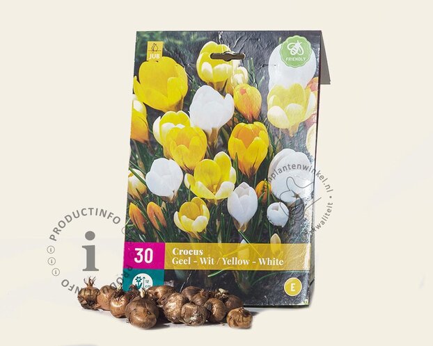 Crocus Mix Geel-Wit