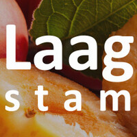 Abrikozenboom laagstam