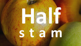 Halfstam appelboom image