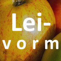 Lei appel