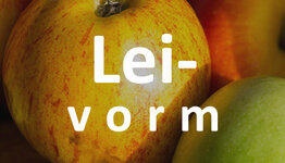 Lei appel image