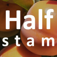 Kaki halfstam