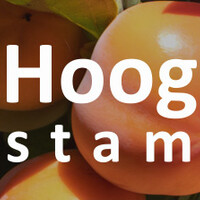 Kaki hoogstam