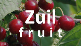 Zuilkers image