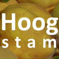 Hoogstam kweepeer