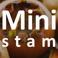 Mini mispel