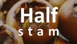 Mispel halfstam image