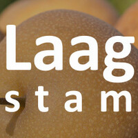 Laagstam nashipeer