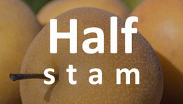 Halfstam nashipeer image