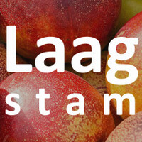 Nectarine laagstam