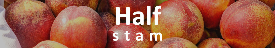 Nectarine halfstam