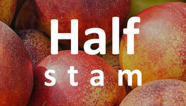 Nectarine halfstam image