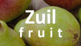 Zuilpeer image