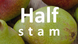 Halfstam perenboom image