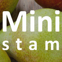 Mini perenboom