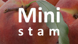 Mini perzikboom image