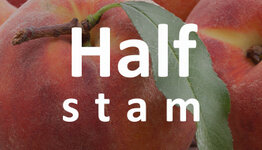 Halfstam perzikboom image