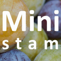 Mini pruimenboom