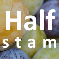 Pruimenboom halfstam