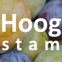 Pruimenboom hoogstam