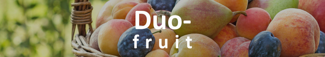 Duo fruitboom
