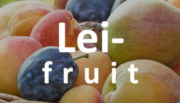 Leifruitbomen  image