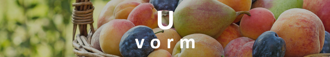 U-vorm fruitboom