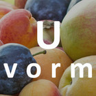 U-vorm fruitboom 