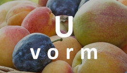 U-vorm fruitboom  image