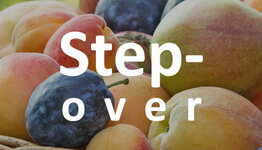 Step over fruitboom image