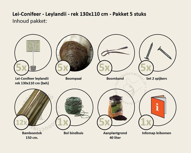 Lei-conifeer 'Leylandii' - pakket 5 stuks + EXTRAS!