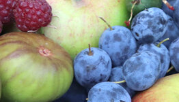 Fruit image