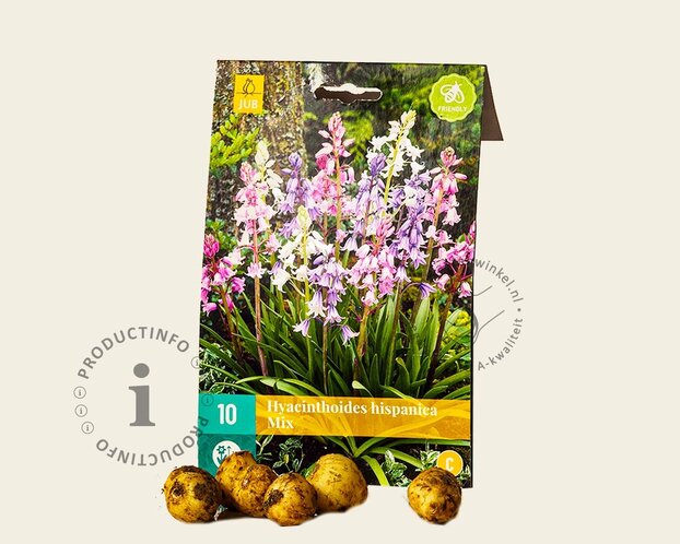 Hyacinthoides hispanica Mix