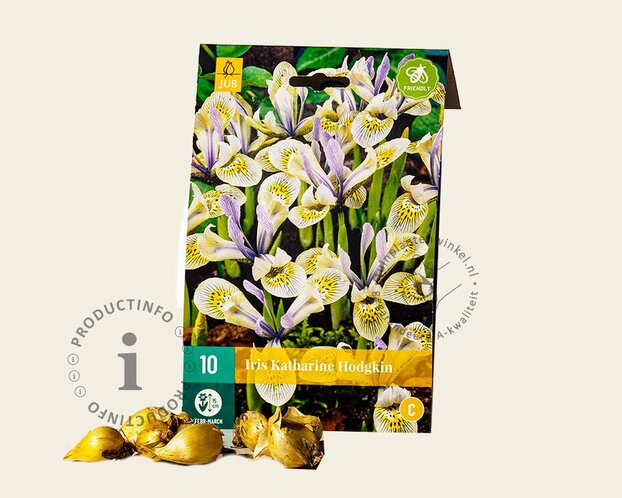Iris reticulata 'Katharine Hodgkin'