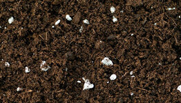 Speciale potgrond image