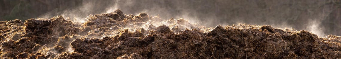 Compost