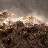 Compost