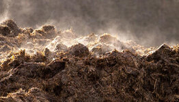 Compost image