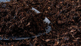 Turf image