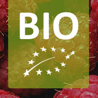 Biologische frambozenstruik