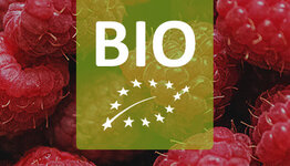 Biologische frambozenstruik image