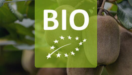 Biologische kiwiplanten image