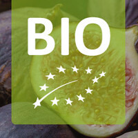 Biologische vijgenplanten