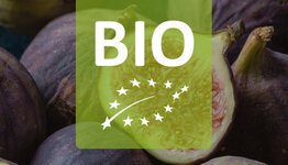 Biologische vijgenplanten image