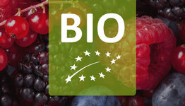 Bio bessenstruiken image