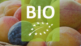 Bio fruitbomen image