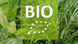 Bio kruidenplanten image